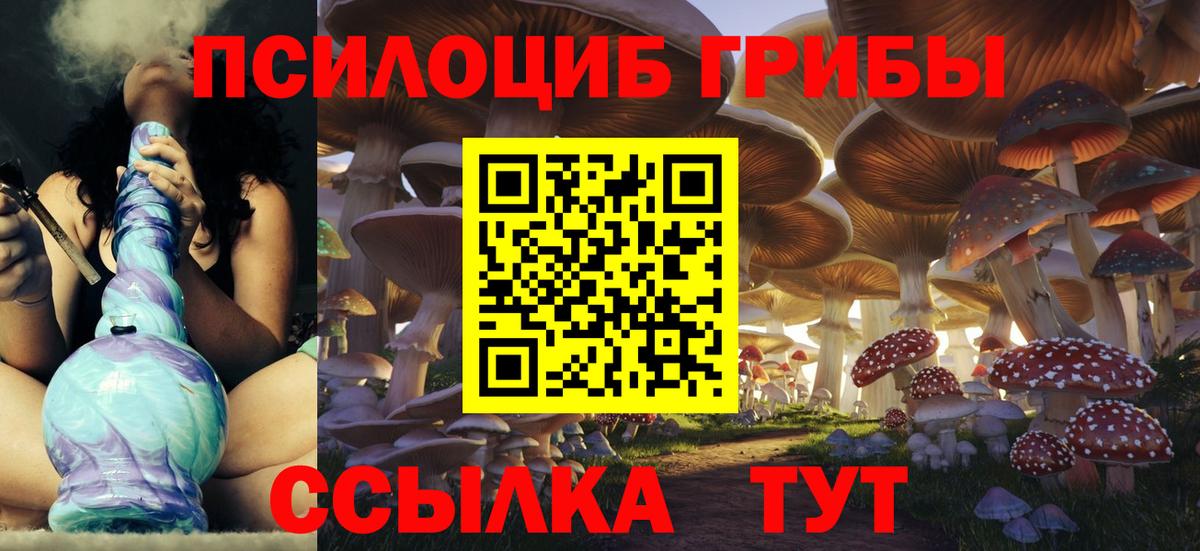 Псилоцибиновые грибы Psilocybe Дубна