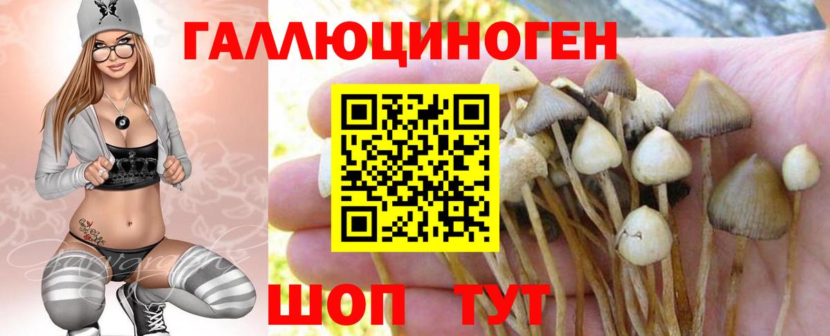 Галлюциногенные грибы MAGIC MUSHROOMS  Псилоцибиновые грибы Cubensis  Вход с VPN  Дубна 